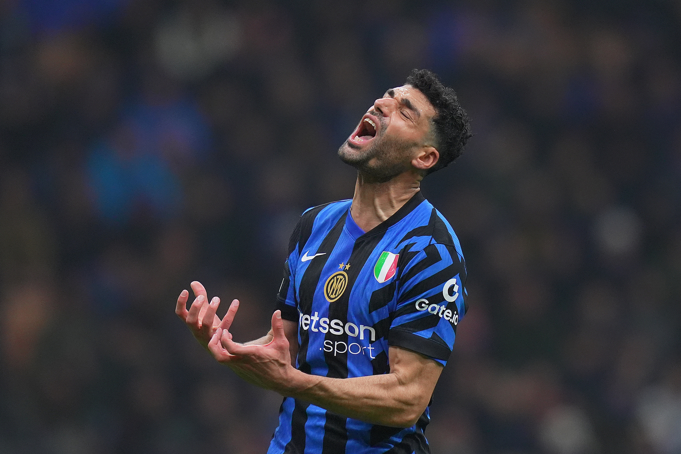 Inter Taremi
